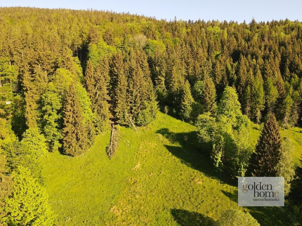 Działka inwestycyjna na sprzedaż Kletno, Śnieżnik Jaskinia Niedźwiedzia  19 400m2 Foto 12