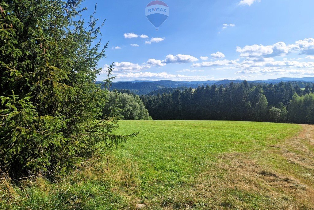 Działka budowlana na sprzedaż Mszalnica  6 700m2 Foto 11