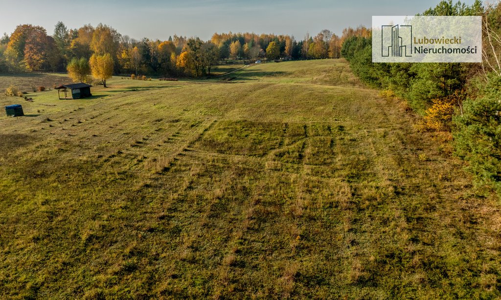 Działka budowlana na sprzedaż Elganowo  21 100m2 Foto 9