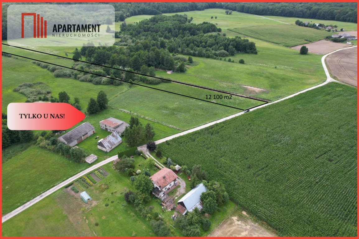 Działka gospodarstwo rolne na sprzedaż Dąbrowa  12 100m2 Foto 1