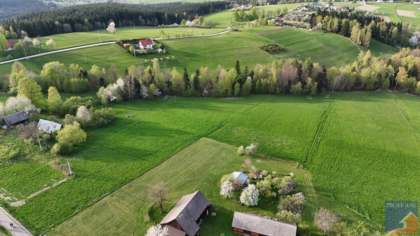 Działka budowlana na sprzedaż Stara Wieś  14 000m2 Foto 8