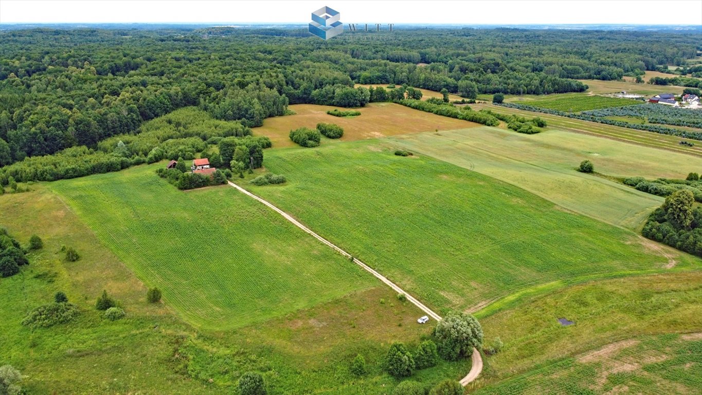 Działka budowlana na sprzedaż Morąg  1 500m2 Foto 3