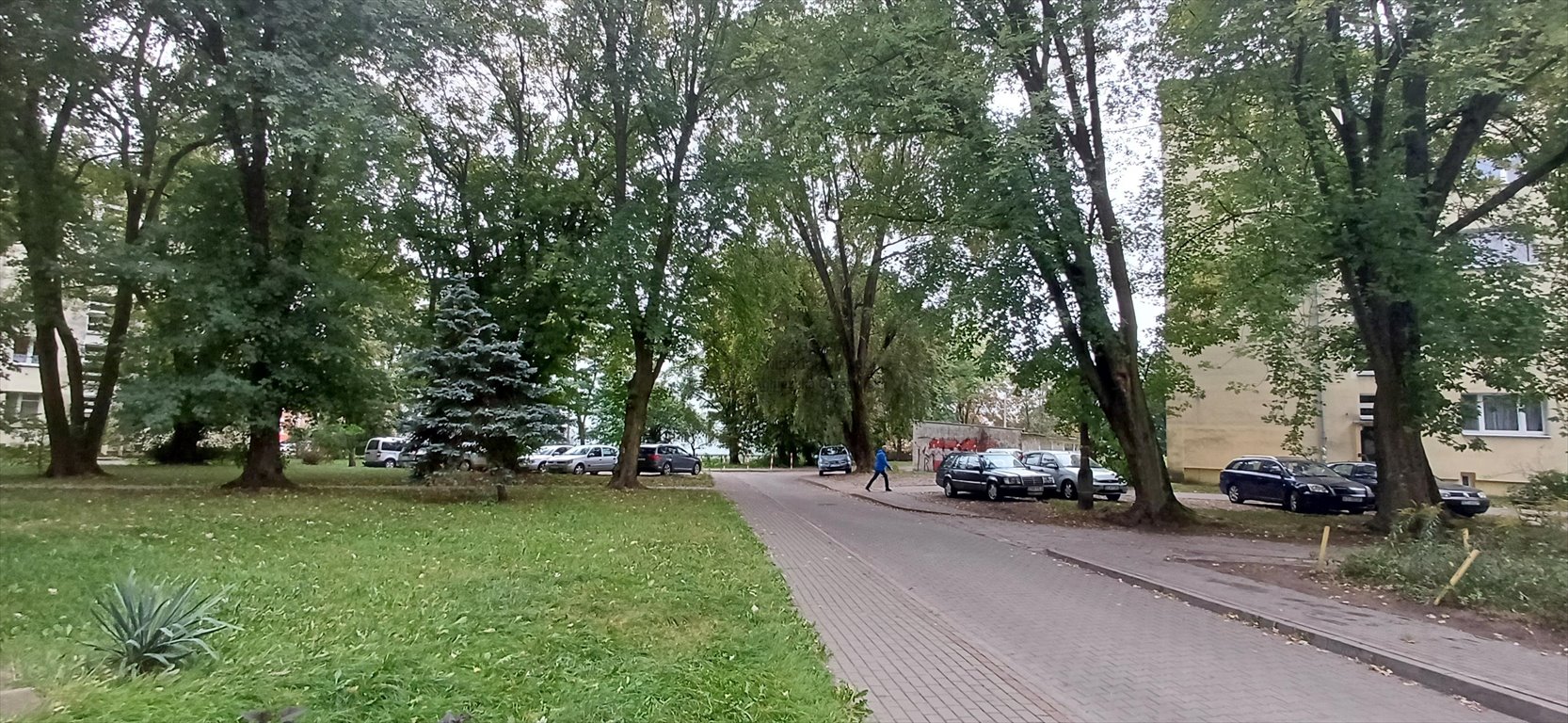 Mieszkanie dwupokojowe na wynajem Łódź, Łódź-Widzew, Widzew, Neonowa  39m2 Foto 5