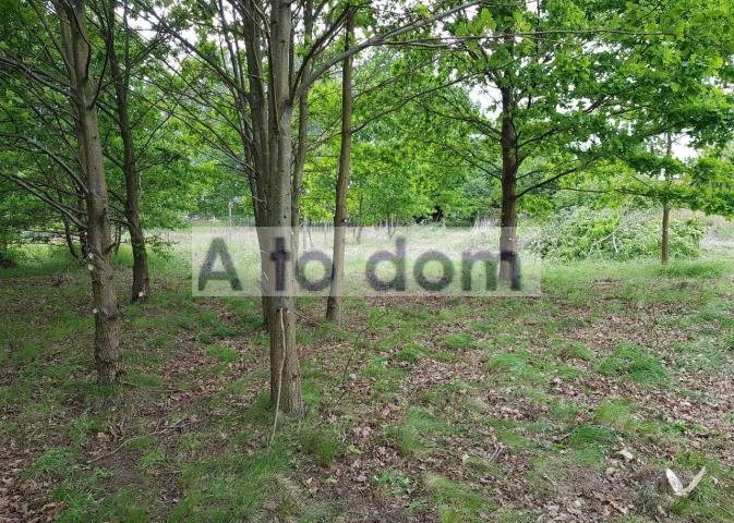 Działka budowlana 2880 m² z mediami, planem MN, Radzymin Radzymin  2 880m2 Foto 1