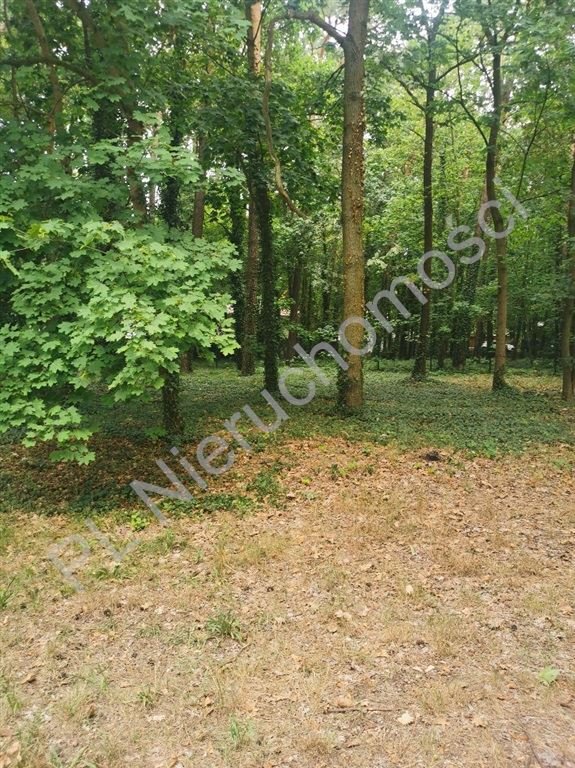 Działka budowlana w Podkowie Leśnej z mediami i planem Podkowa Leśna  2 182m2 Foto 1