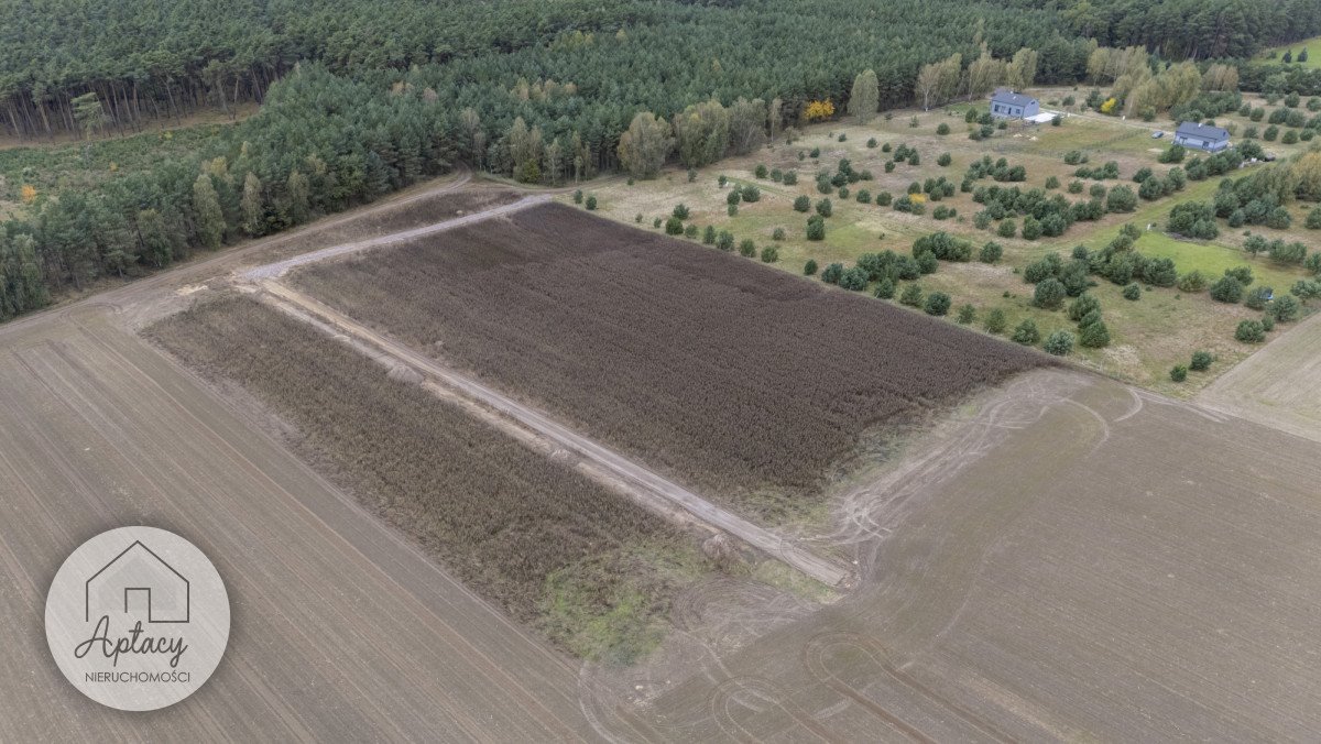 Działka budowlana na sprzedaż Biernatki, Władysława Dylewskiego  933m2 Foto 8