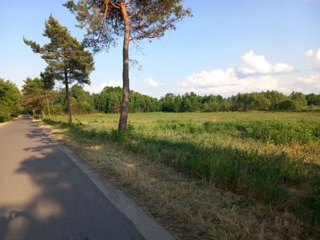 Działka 15 315 m² z mediami, las, asfalt, Zabrodzie Lipiny, Leśna  15 315m2 Foto 1