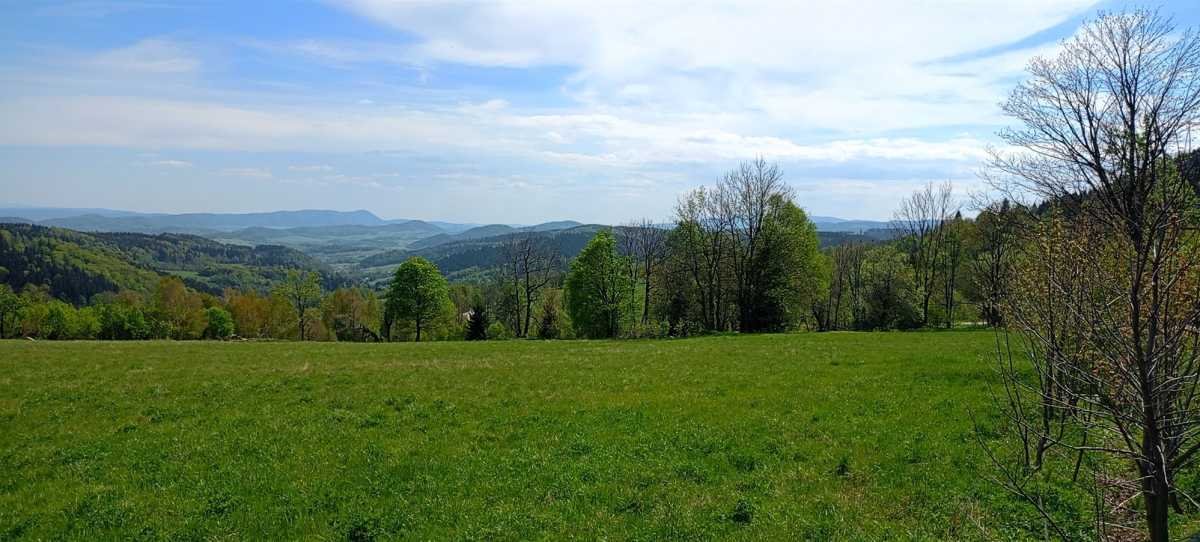 Działka budowlana na sprzedaż Czarnów  10 170m2 Foto 3