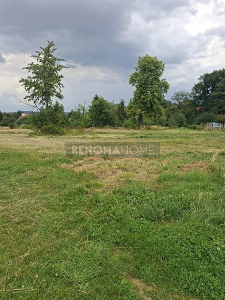 Działka rolna 1340 m² z wodą i szambem w Owiesnie Owiesno  1 341m2 Foto 1