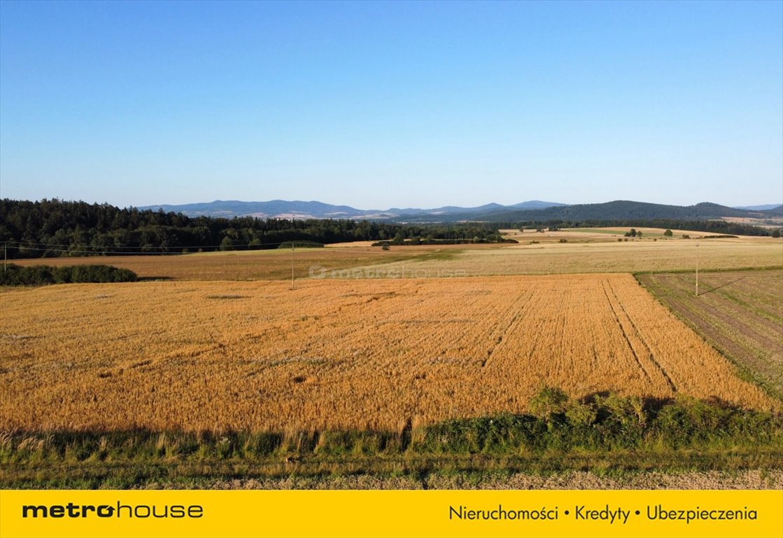 Działka inna na sprzedaż Stara Łomnica  1 400m2 Foto 5