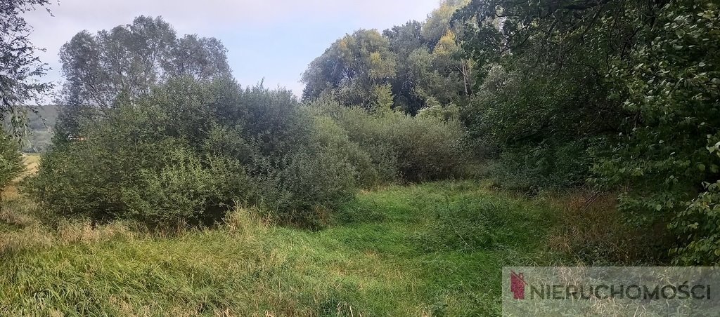 Działka budowlana na sprzedaż Tuszyn  6 723m2 Foto 1