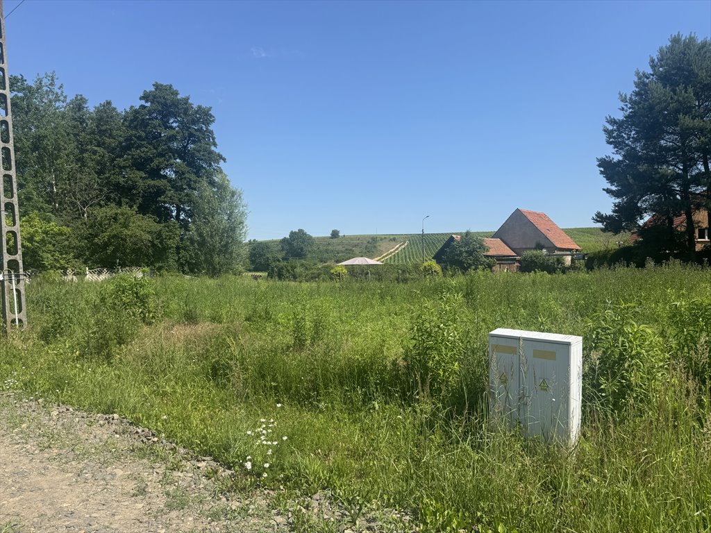 Zdjęcie 2