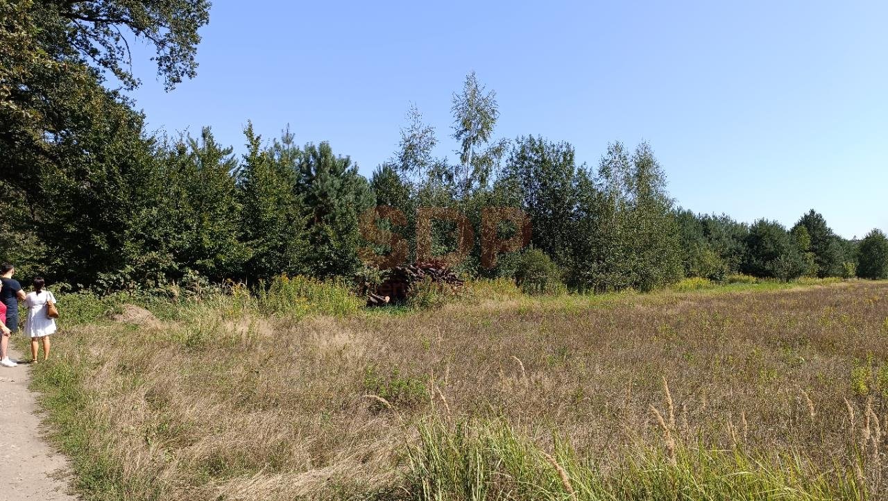 Działka budowlana na sprzedaż Kotowice, Leśna  3 000m2 Foto 5