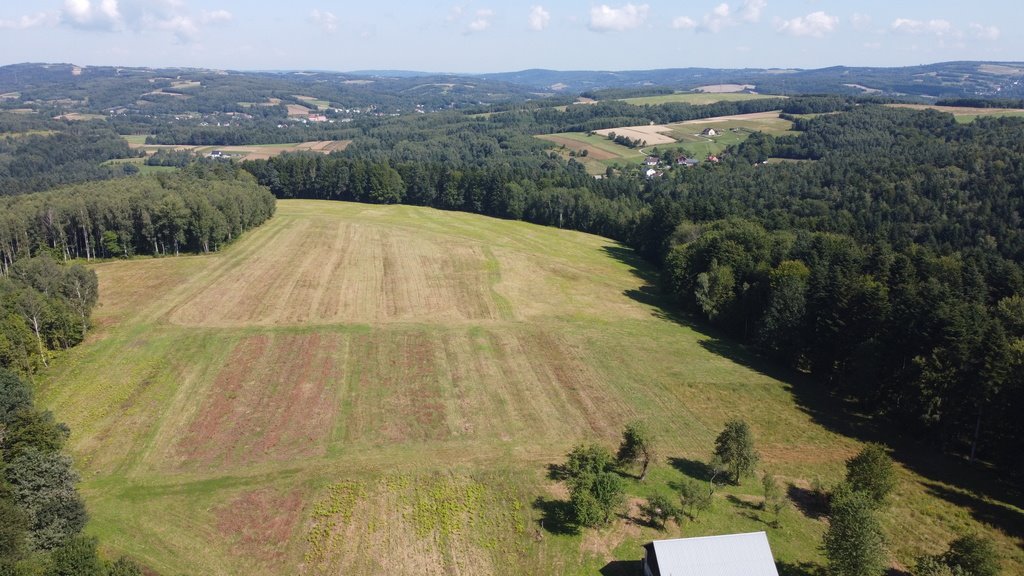 Działka budowlana na sprzedaż Lutcza  96 200m2 Foto 14