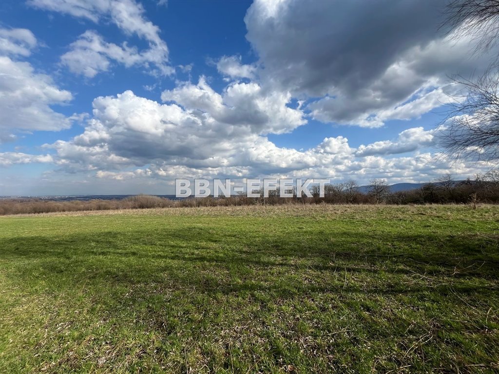 Działka inna na sprzedaż Bielsko-Biała, Stare Bielsko  11 495m2 Foto 2