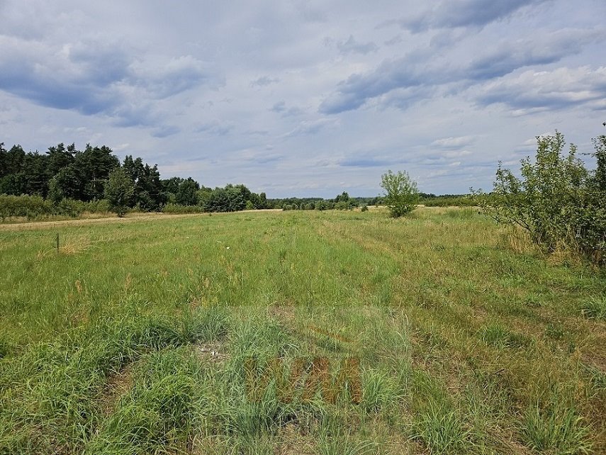 Działki pod zabudowę w Szczęsnej – 3000 m2, media, nowa zabudowa Grójec  3 000m2 Foto 1
