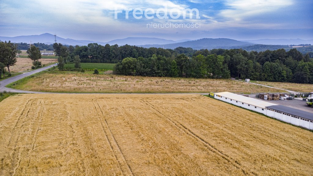 Działka budowlana na sprzedaż Głuchołazy  798m2 Foto 8