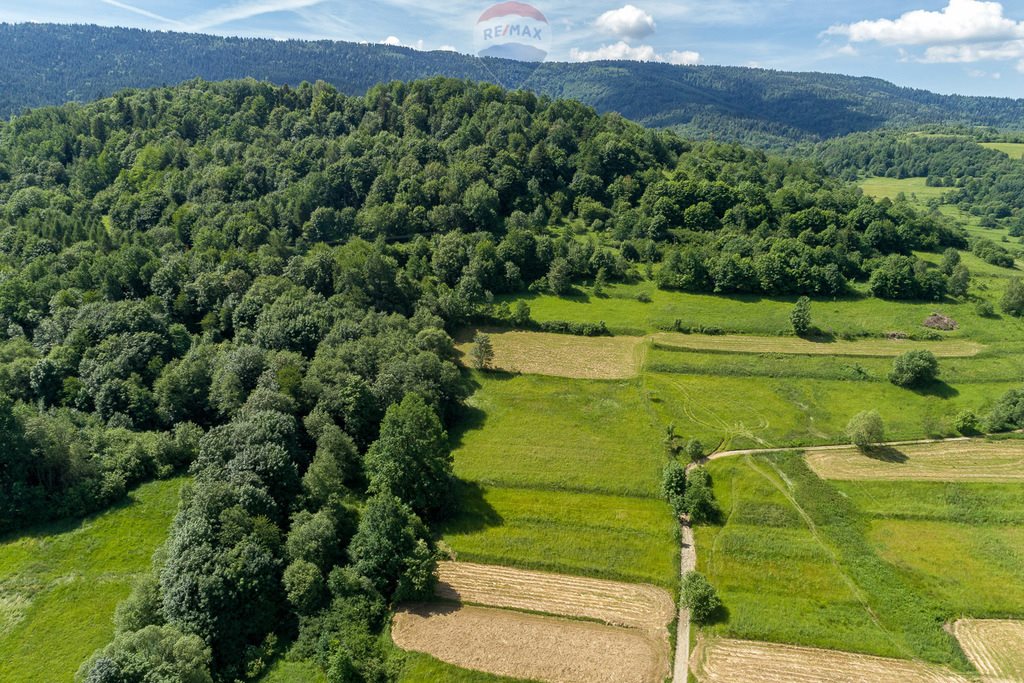 Działka rolna na sprzedaż Tenczyn  3 280m2 Foto 3