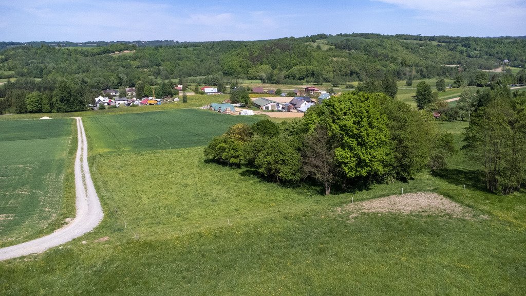 Działka budowlana na sprzedaż Nowy Borek  10 155m2 Foto 3