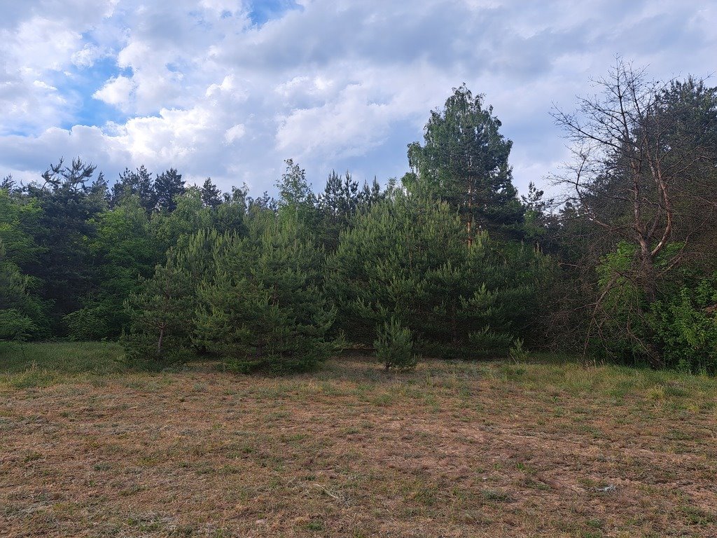 Dom na sprzedaż Ponikiew Wielka  50m2 Foto 9