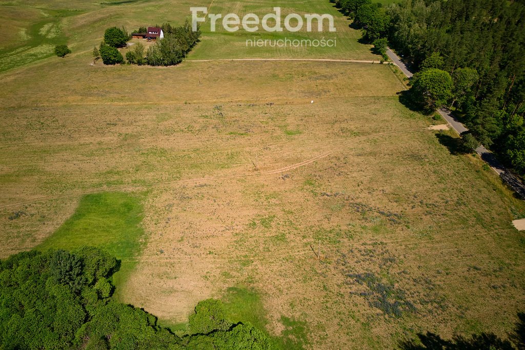 Działka inna na sprzedaż Krzywe  3 003m2 Foto 8