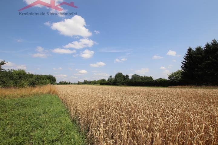 Działka budowlana na sprzedaż Łężany  3 930m2 Foto 1