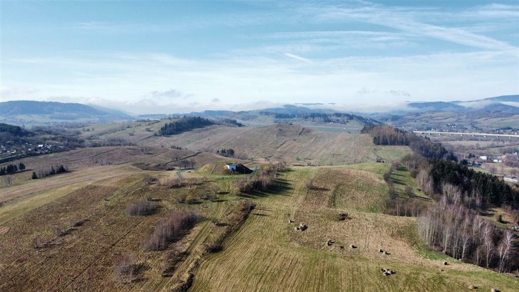 Działka budowlana na sprzedaż Kamienna Góra  1 593m2 Foto 4