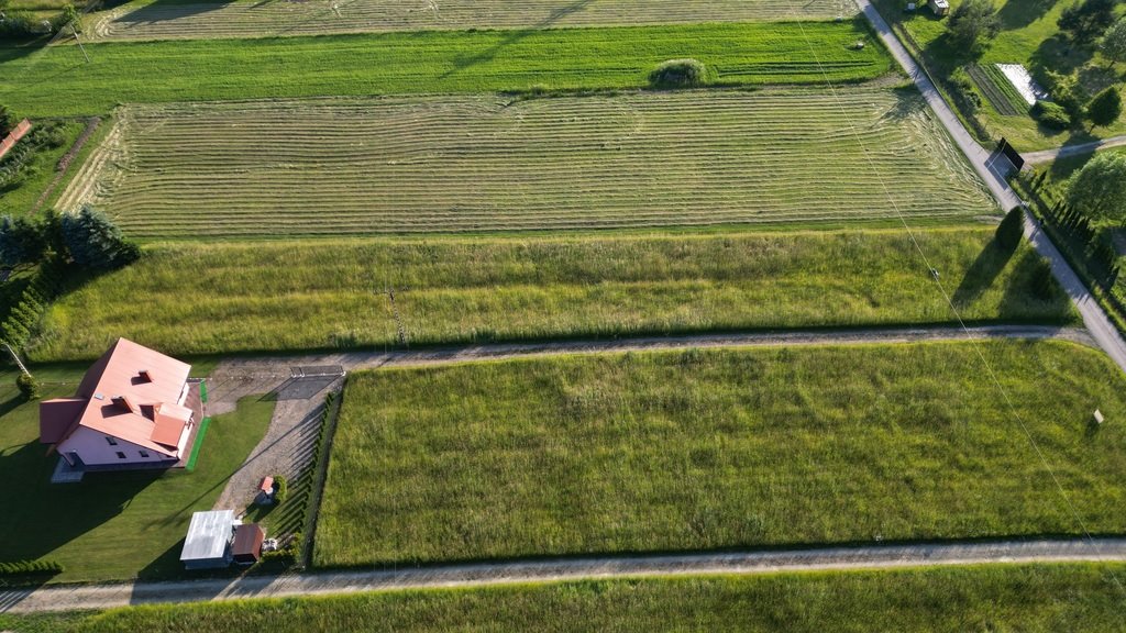 Działka budowlana na sprzedaż Rożnów  3 001m2 Foto 4
