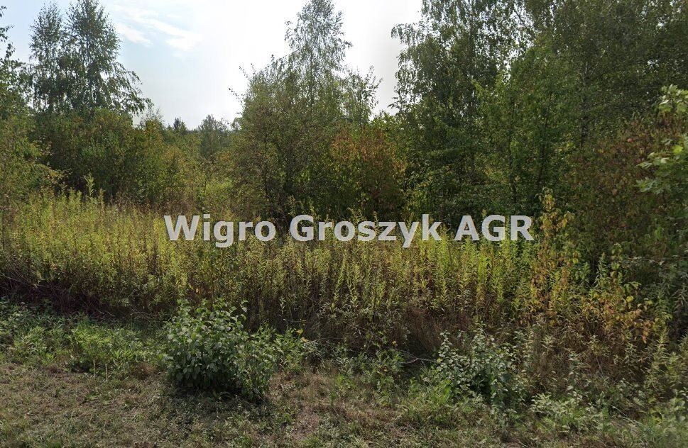 Do sprzedania działka 12048 m² z widokiem na Wisłę i media Wólka Przybójewska  12 042m2 Foto 1
