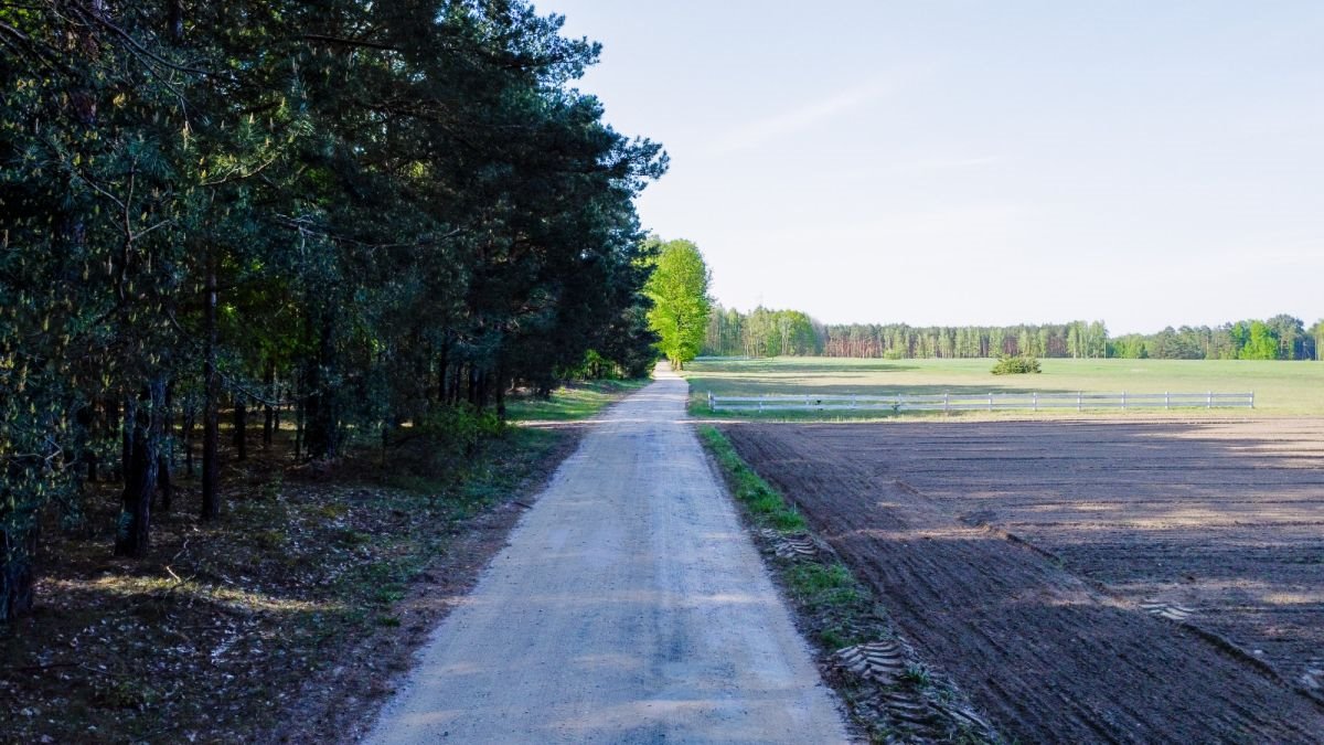 Działka rekreacyjna na sprzedaż Nowe Bosewo, Lipnik  1 245m2 Foto 9