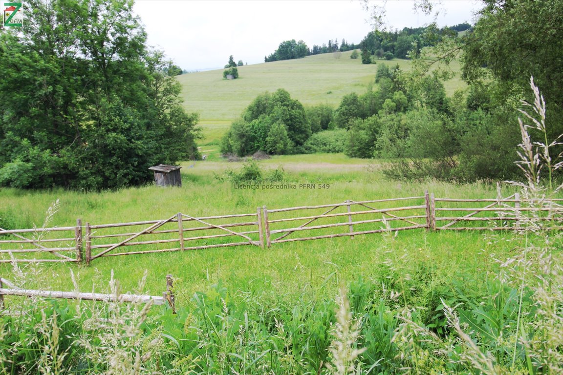 Działka budowlana na sprzedaż CHOCHOŁÓW  1 800m2 Foto 1