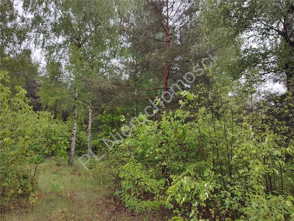 Działka budowlana na sprzedaż Osowiec  1 243m2 Foto 1