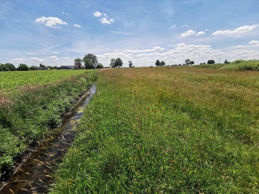 Działka rolna na sprzedaż Kleszczyna  27 800m2 Foto 7