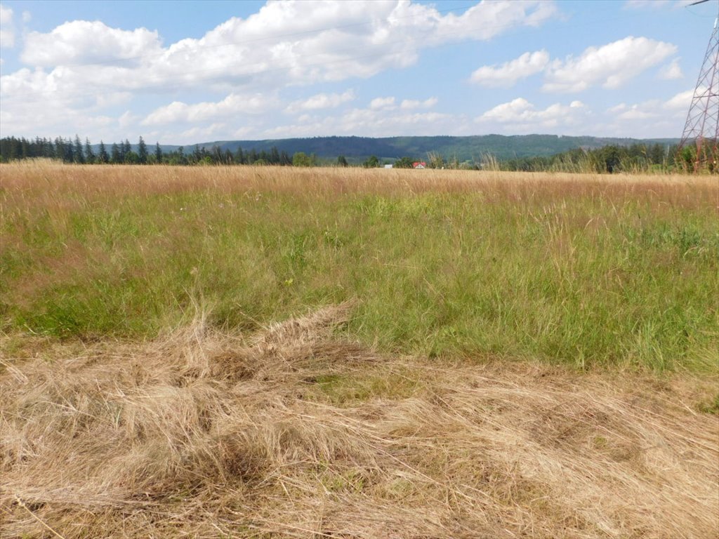 Działka budowlana na sprzedaż Duszniki-Zdrój  2 622m2 Foto 4