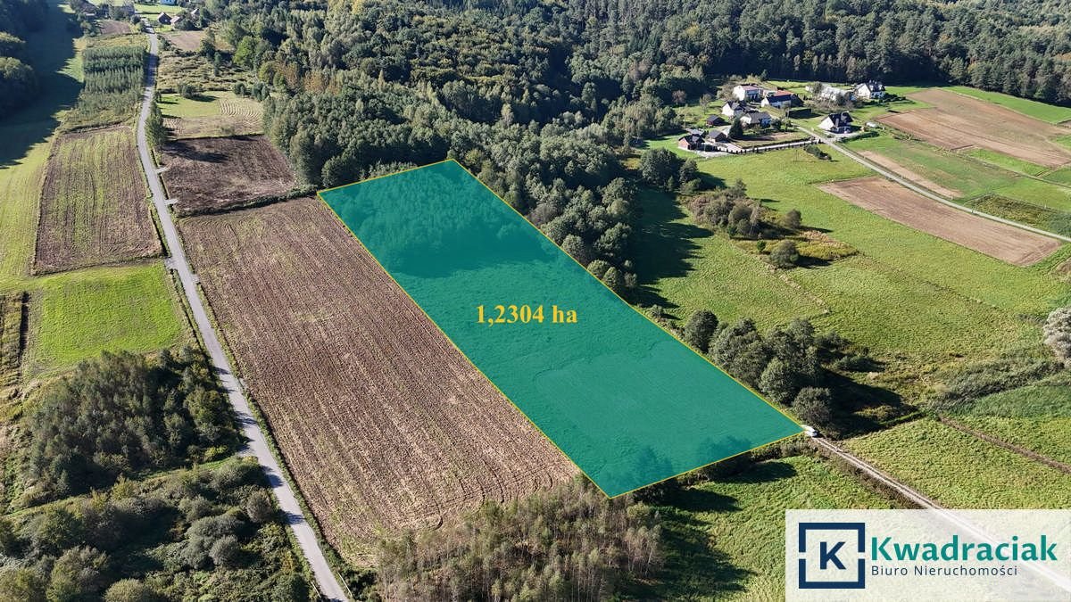 Działka 1,23 ha z warunkami zabudowy, cisza i natura Sieklówka  12 304m2 Foto 1
