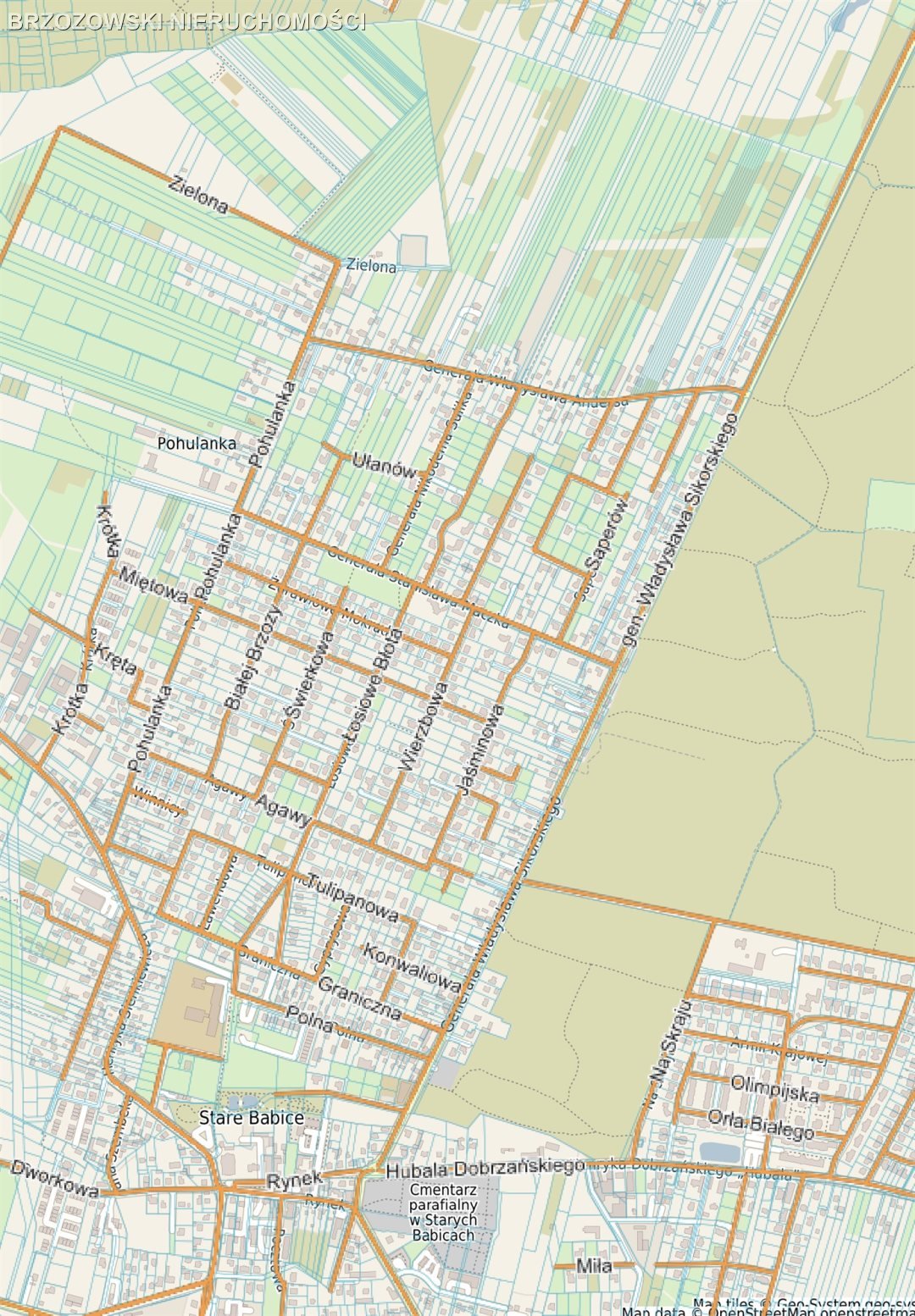 Działka budowlana na sprzedaż Kwirynów  892m2 Foto 1