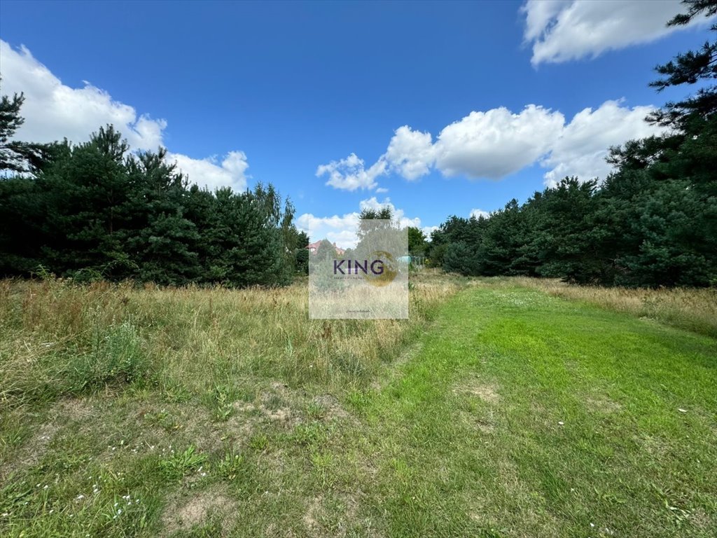 Działka pod dom z lasem, 2150 m², uzbrojona Żórawie  2 150m2 Foto 1