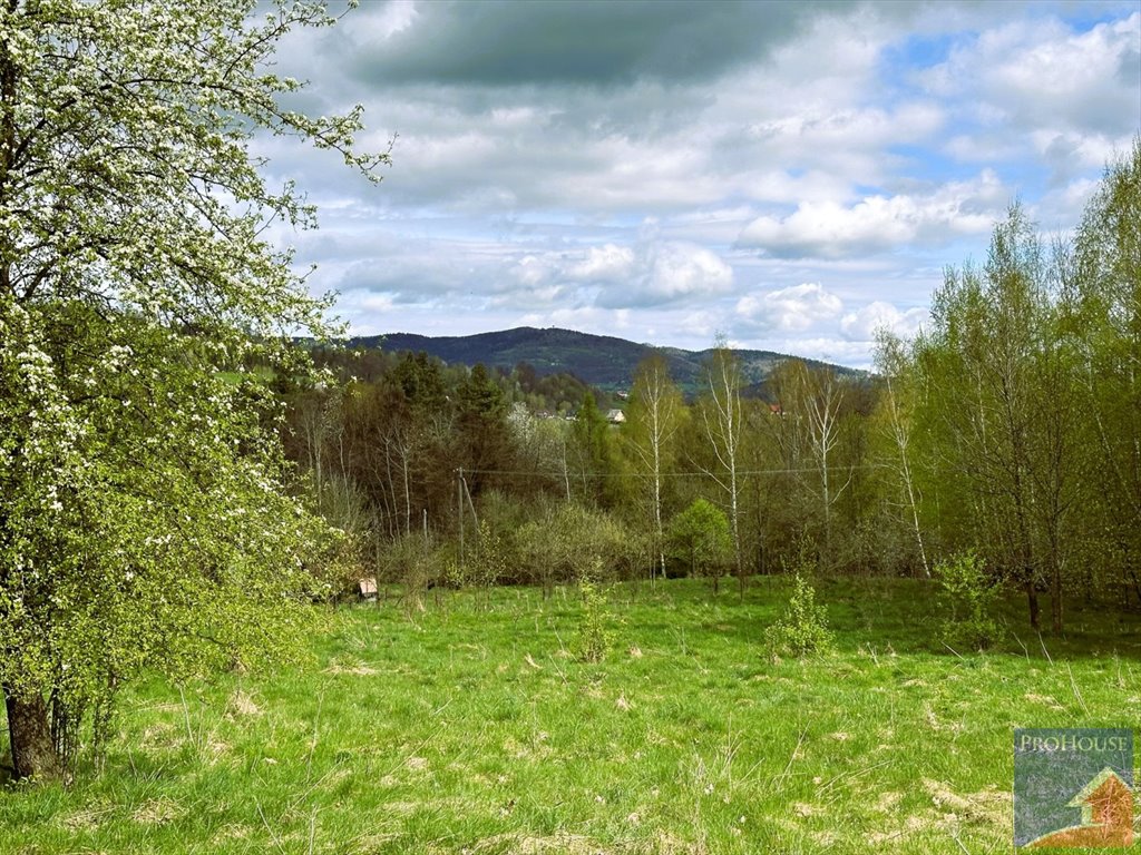 Działka inna na sprzedaż Lipowe  20 300m2 Foto 13