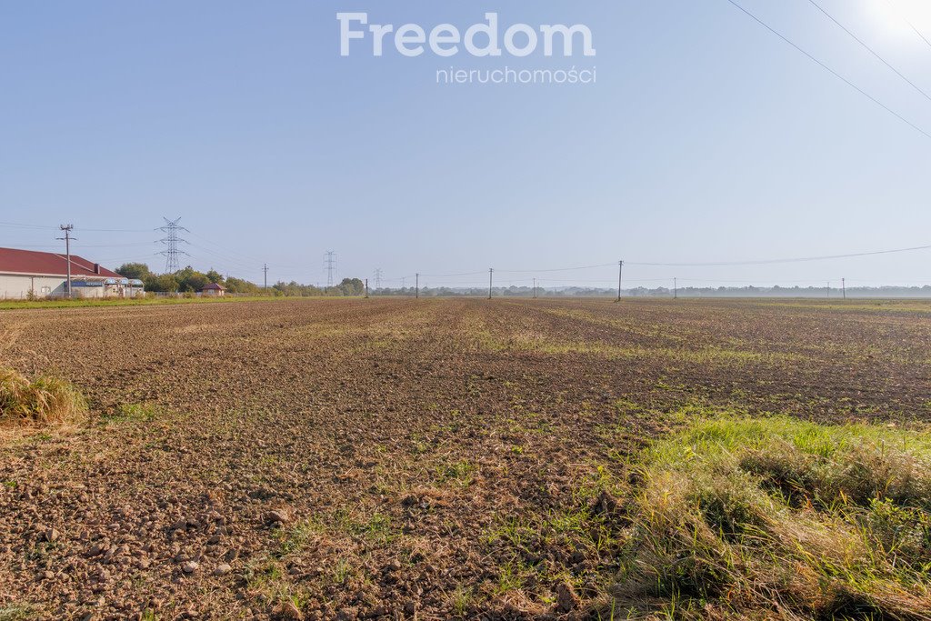 Działka inwestycyjna na sprzedaż Żabno  10 000m2 Foto 8