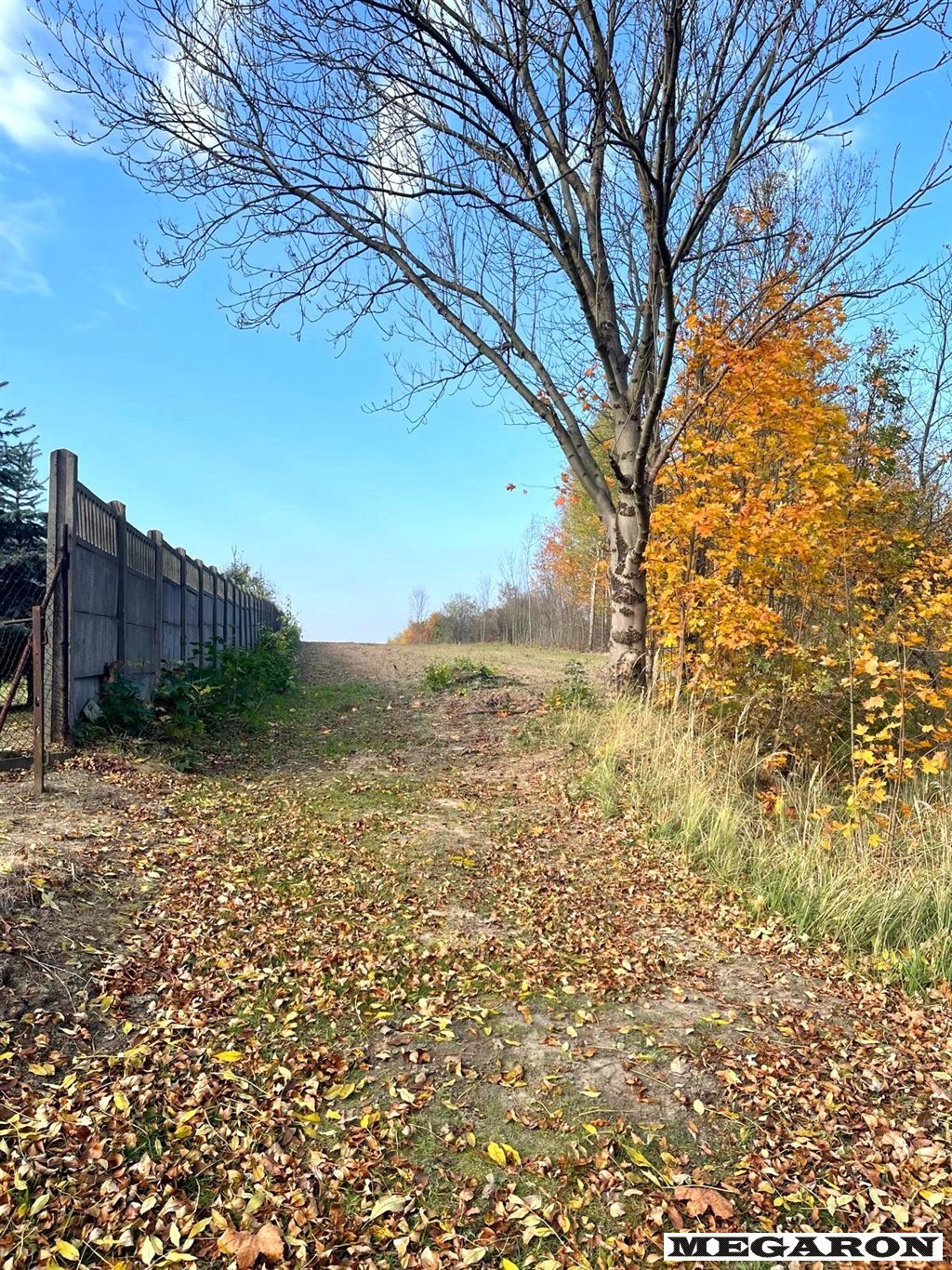 Duża działka pod zabudowę wielorodzinną w Kiedrzynie (10 853 m²) Częstochowa, Kiedrzyn  10 853m2 Foto 1