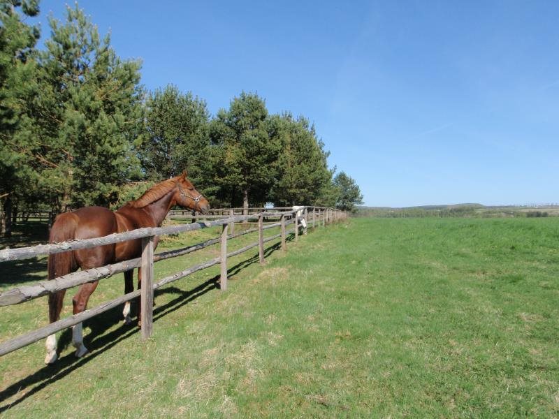 Działka budowlana na sprzedaż Dąbrówka, Leśna 1 583m2 Foto 1 Działka budowlana na sprzedaż Dąbrówka, Leśna 1 583m2 Foto 1