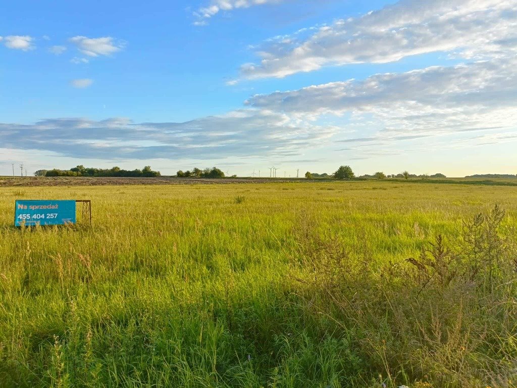 Działka rolna na sprzedaż Smolęcin  3 021m2 Foto 1