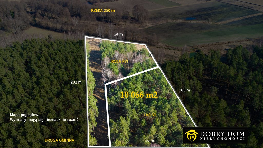 Działka leśna na sprzedaż Szerenosy  10 066m2 Foto 1