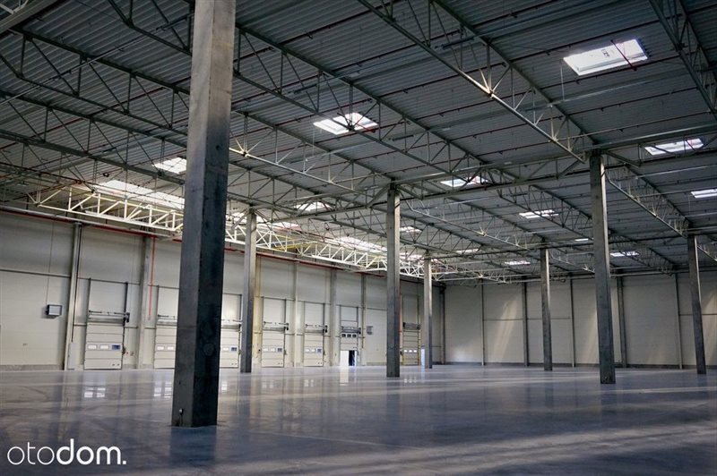 Lokal użytkowy na wynajem Gliwice, Brzezinka 800m2 Foto 1 Lokal użytkowy na wynajem Gliwice, Brzezinka 800m2 Foto 1