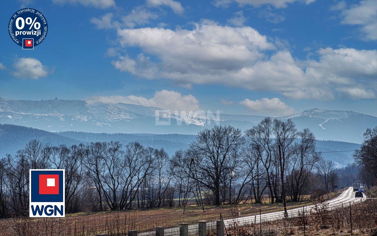 Lokal użytkowy na sprzedaż Wojcieszyce, Wojcieszyce  1 567m2 Foto 14