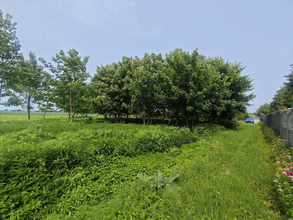 Polecam działkę 4033 m² z warunkami zabudowy i dostępem do mediów Wilkowa Wieś  4 033m2 Foto 1