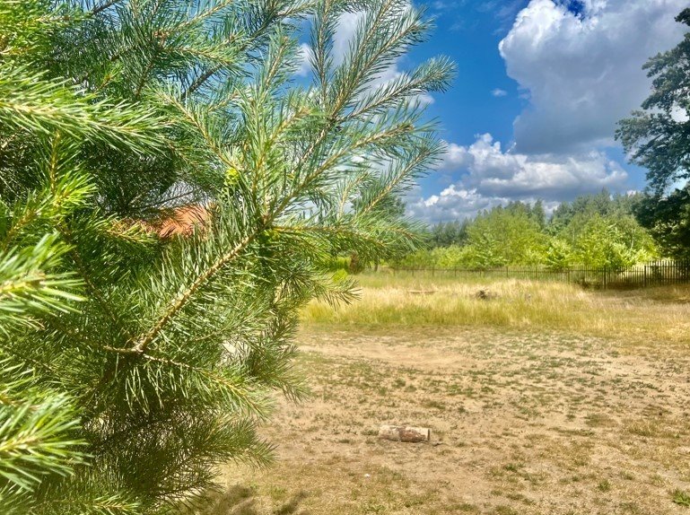 Działka budowlana na sprzedaż Stare Grochale  1 370m2 Foto 18