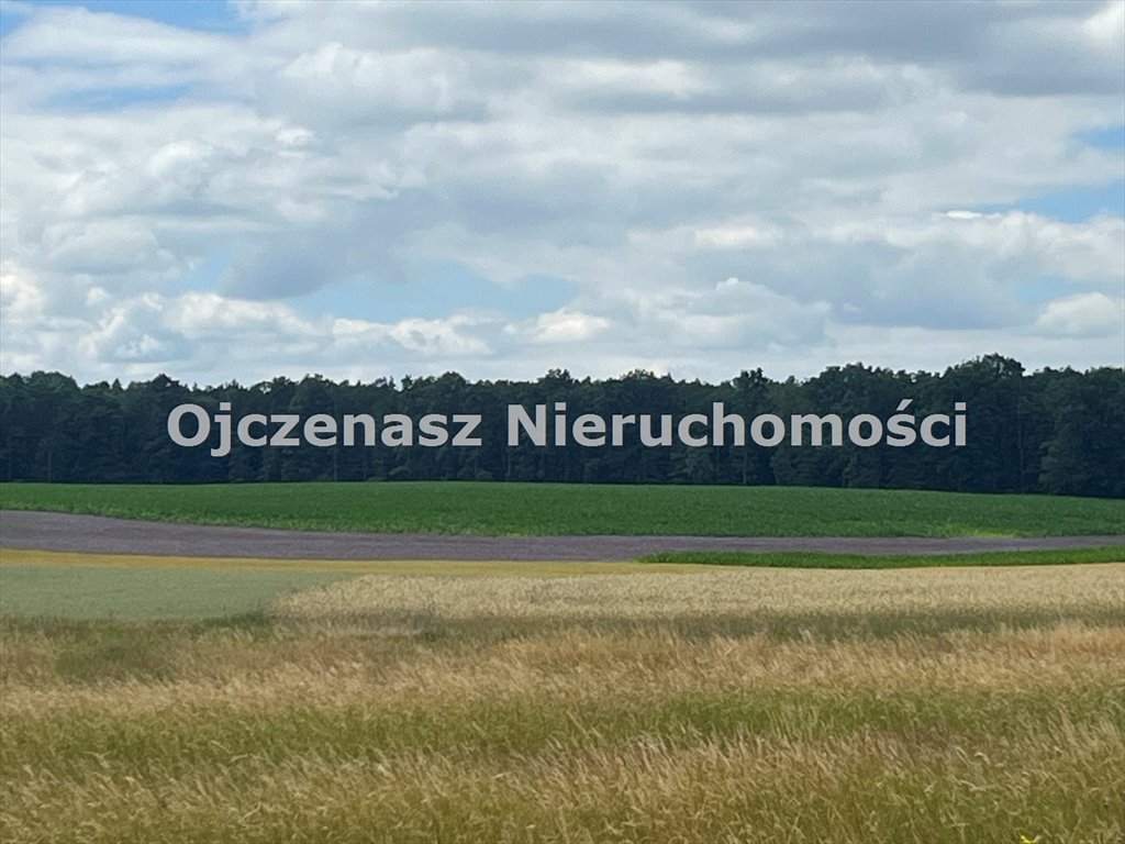 Działka budowlana na sprzedaż Oporówek  900m2 Foto 1