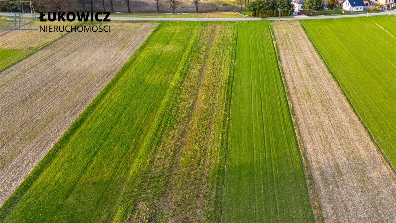 Działka budowlana na sprzedaż Dankowice  3 099m2 Foto 5