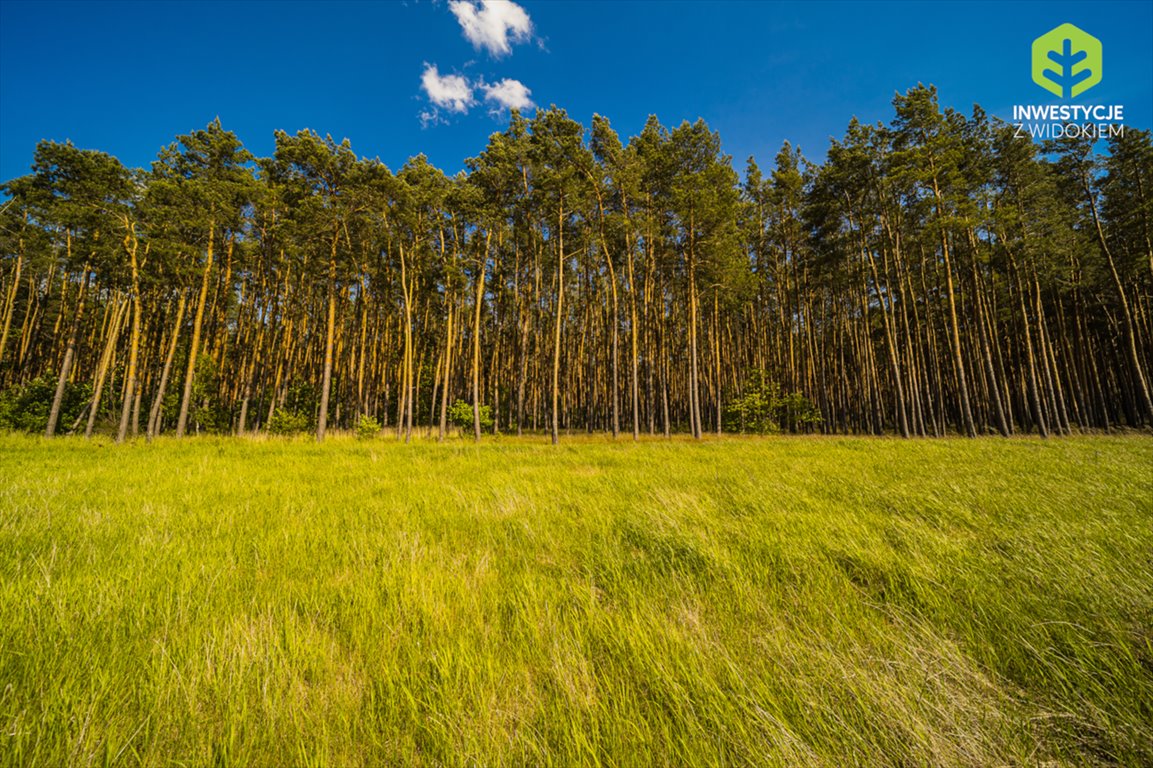 Działka 502 m² pod zabudowę w Łężycy, las, blisko Zielonej Góry Zielona Góra, Łężyca, Ostatnie działki w tej cenie - 11 km od Zielonej G  502m2 Foto 1